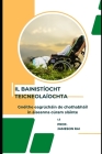 il Bainistíocht Teicneolaíochta: ( Gnéithe eagraíochtúla de chothabháil in áiseanna cúram sláinte ) Cover Image