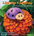 Lila the Ladybug: A Deep Creek Lake Adventure By Cindy Freland, Anne Davidson Cover Image