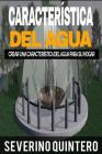 Característica del agua: Crear una característica del agua para su hogar By Severino Quintero Cover Image