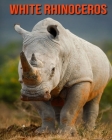 White Rhinoceros: Learn About White Rhinoceros and Enjoy Colorful Pictures By Matilda Leo Cover Image