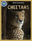 Cheetah Activity Workbook ages 4-8 By Beth Costanzo Cover Image