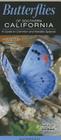 Butterflies of Southern California: A Guide to Common and Notable Species By Jim Brock Cover Image