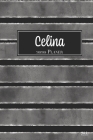 Celina 2020 Planer: A5 Minimalistischer Kalender Terminplaner Jahreskalender Terminkalender Taschenkalender mit Wochenübersicht By S&l Jahreskalender Cover Image