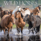 Wild Horses 2024 12 X 12 Wall Calendar Cover Image
