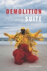 Demolition Suite By Willa Carroll Cover Image