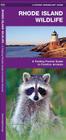 Rhode Island Wildlife: A Folding Pocket Guide to Familiar Species (Pocket Naturalist Guide) Cover Image
