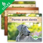 Perros (Dogs Set 2) (Spanish Version) (Set) By Grace Hansen Cover Image