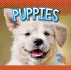 Puppies (Baby Animals) By Jen Besel Cover Image