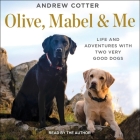 Olive, Mabel & Me Lib/E: Life and Adventures with Two Very Good Dogs By Andrew Cotter, Andrew Cotter (Read by) Cover Image