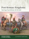 Post-Roman Kingdoms: ‘Dark Ages' Gaul & Britain, AD 450–800 (Elite) By Raffaele D’Amato, Andrey Negin (Illustrator) Cover Image