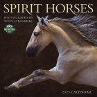 Spirit Horses 2023 Wall Calendar By Tony Stromberg Cover Image