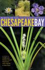 Plants of the Chesapeake Bay: A Guide to Wildflowers, Grasses, Aquatic Vegetation, Trees, Shrubs, & Other Flora Cover Image