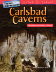Travel Adventures: Carlsbad Caverns: Identifying Arithmetic Patterns (Mathematics in the Real World) Cover Image