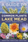A Guide to Common Plants of Lake Mead National Recreation Area By Elizabeth A. Powell, Frederick H. Landau, Lawrence R. Walker Cover Image
