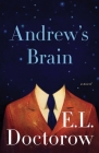 Andrew's Brain: A Novel Cover Image