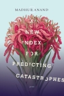 A New Index for Predicting Catastrophes By Madhur Anand Cover Image