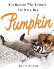 Pumpkin: The Raccoon Who Thought She Was a Dog By Laura Young Cover Image