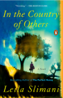 In the Country of Others: A Novel Cover Image
