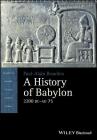 A History of Babylon, 2200 BC - AD 75 (Blackwell History of the Ancient World) By Paul-Alain Beaulieu Cover Image