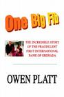 One Big Fib: The Incredible Story of the Fraudulent First International Bank of Grenada By Owen Platt Cover Image