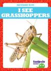 I See Grasshoppers (Backyard Bugs) By Genevieve Nilsen Cover Image