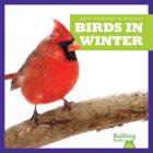 Birds in Winter (What Happens in Winter?) By Jennifer Fretland VanVoorst Cover Image