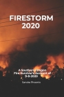 Firestorm 2020: A Southern Oregon Fire Survivor's Account of 9-8-2020 By Sandra Phoenix Cover Image
