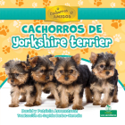 Cachorros de Yorkshire Terrier By David Armentrout, Patricia Armentrout Cover Image
