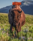 Bison: Beautiful Pictures & Interesting Facts Children Book About Bison Cover Image