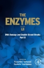 DNA Damage and Double Strand Breaks Part B (Enzymes #52) By Fuyuhiko Tamanoi (Editor), Kenichi Yoshikawa (Editor) Cover Image