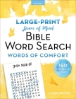 Peace of Mind Bible Word Search: Words of Comfort Cover Image
