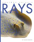 Rays (Amazing Animals) By Valerie Bodden Cover Image