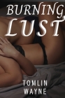 Burning Lust: The Seduction Of a Subtle Woman Cover Image