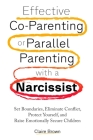 Effective Co-Parenting or Parallel Parenting with a Narcissist Cover Image