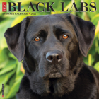 Just Black Labs 2022 Wall Calendar (Retriever Dog Breed) Cover Image
