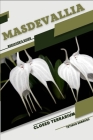 Masdevallia: Closed terrarium, Beginner's Guide Cover Image
