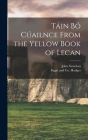 Táin Bó Cúailnce from the Yellow Book of Lecan Cover Image