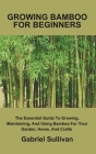 Growing Bamboo for Beginners: The Essential Guide To Growing, Maintaining, And Using Bamboo For Your Garden, Home, And Crafts By Gabriel Sullivan Cover Image