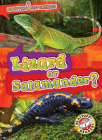 Lizard or Salamander? By Mari C. Schuh Cover Image