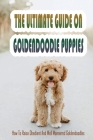 The Ultimate Guide On Goldendoodle Puppies: How To Raise Obedient And Well Mannered Goldendoodles: How To Train Goldendoodle By Lesley Savidge Cover Image