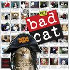 Bad Cat 2013 Wall Calendar By Workman Publishing Cover Image