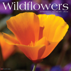 Wildflowers 2024 12 X 12 Wall Calendar By Willow Creek Press Cover Image