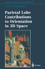 Parietal Lobe Contributions to Orientation in 3D Space (Experimental Brain Research #25) By Peter Thier (Editor), Hans-Otto Karnath (Editor) Cover Image