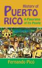 Puerto Ricans (Revised) By Kal Wagenheim (Editor), Olga Jimzenez De Wagenheim (Editor) Cover Image