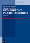 Persönlichkeitsrecht Und Medienstrafrecht (de Gruyter Praxishandbuch) Cover Image