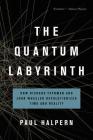 The Quantum Labyrinth: How Richard Feynman and John Wheeler Revolutionized Time and Reality By Paul Halpern Cover Image