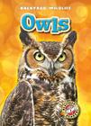 Owls (Backyard Wildlife) By Kari Schuetz Cover Image
