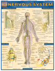 Nervous System (Quickstudy: Academic) By Vincent Perez Cover Image