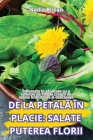 de la PetalĂ În Placie: Salate Puterea Florii Cover Image