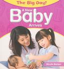 A New Baby Arrives (Big Day!) By Nicola Barber Cover Image